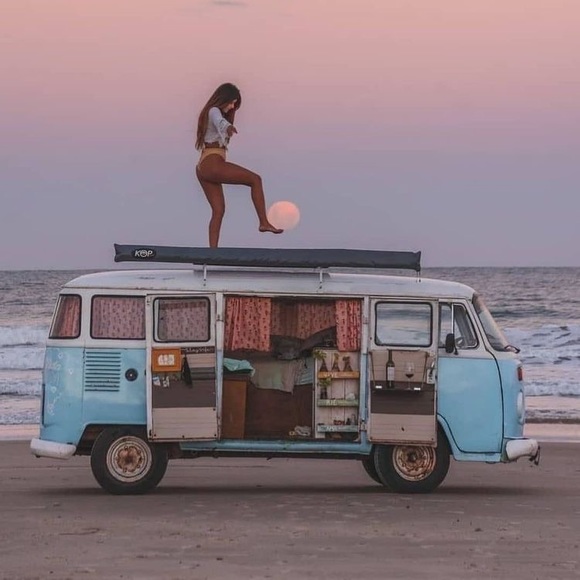 Meet your Posher, Brylie - Picture 1 of 1